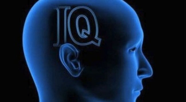COEFICIENTE DE INTELIGENCIA coeficiente de inteligencia: