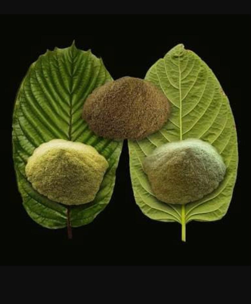 Why Supplements Like Maeng Da Kratom Bring a Bad Name to the Medical Community?